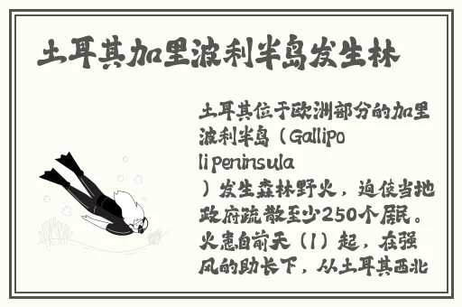 吃瓜爆料黑料蘑菇视频